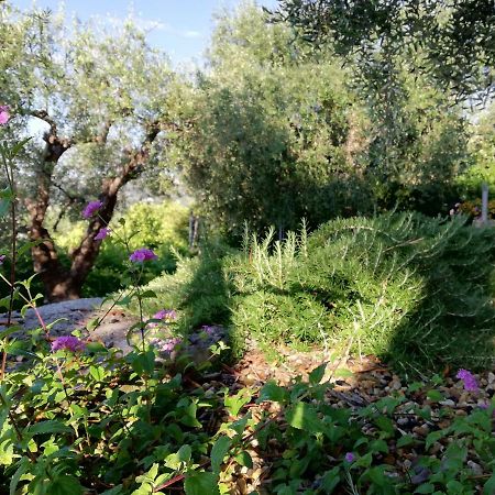 Sugli Allori دْيانو مارينا المظهر الخارجي الصورة
